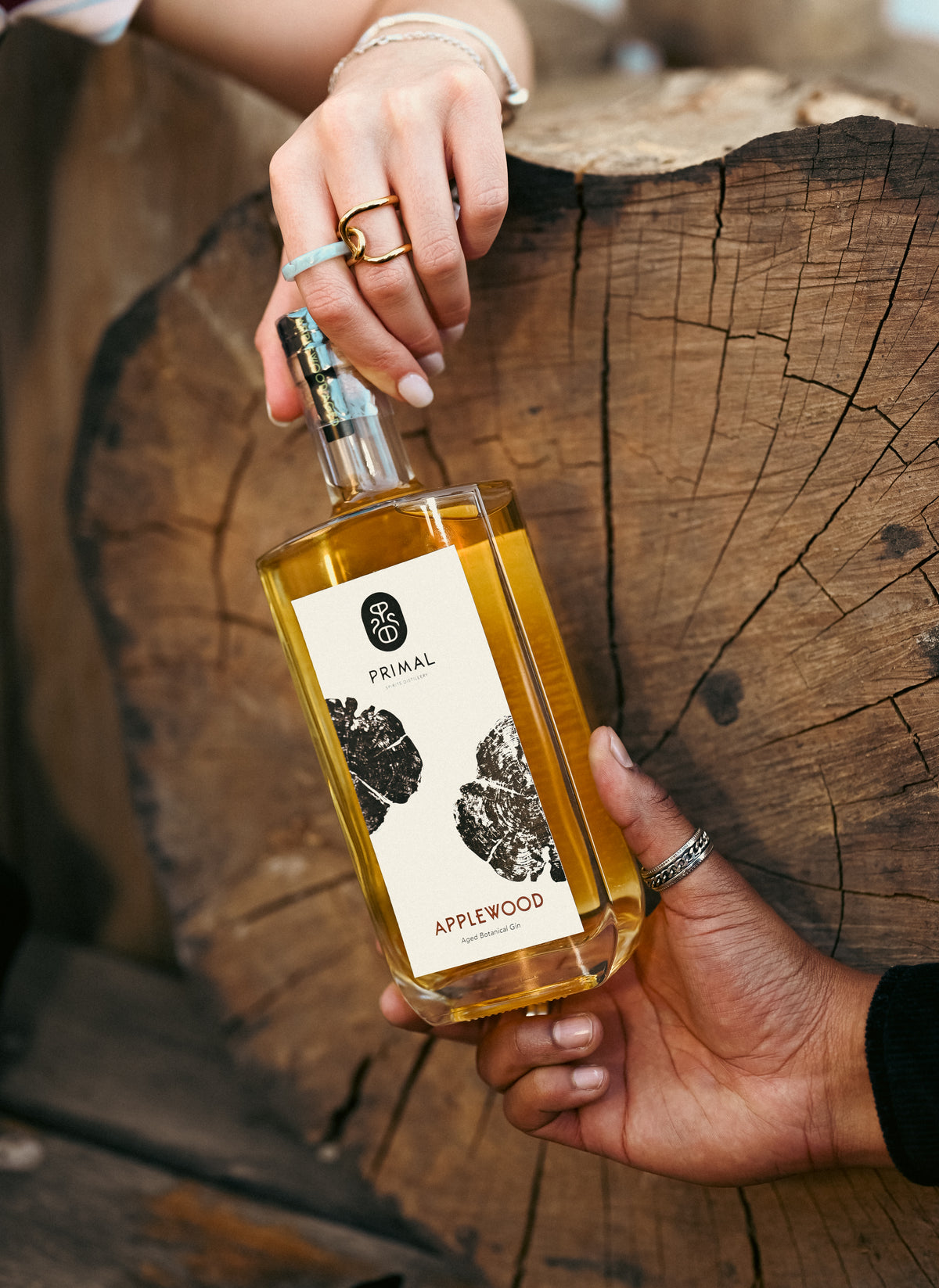 The City Distilled Collection